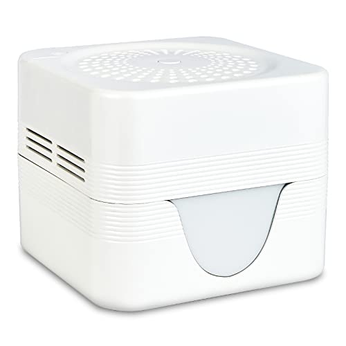 ap airpleasure C@ GAEHbV[AtB^[lbgtGAoC^CU[AgFLEDiCgCgtGAtbVAƒItBXp^GAN[i[Aybgp̃A}fBt[U[