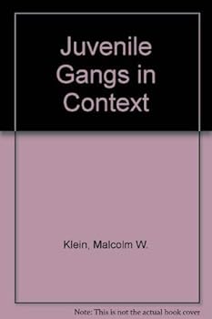 Paperback Juvenile Gangs in Context; Theory, Research, and Action Book