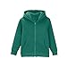 Girls Boys 2 Piece Tracksuit Athletic Sweatsuits Sets Full Zip Hooded Sweatshirt and (Blackish Green, 11-12 Years)