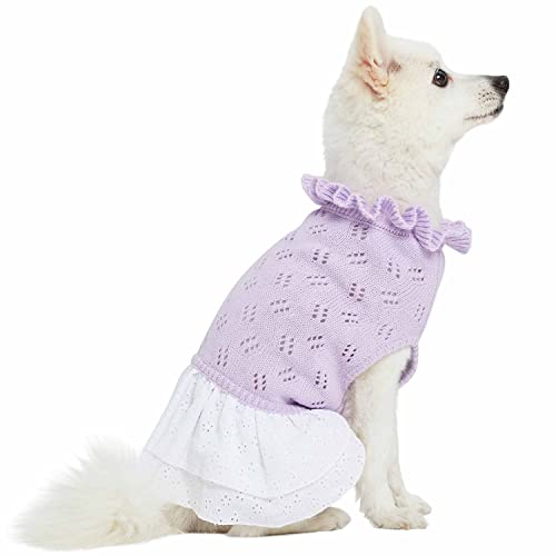 Pull pour chien lavande col à volants dos 30,5 cm tricot