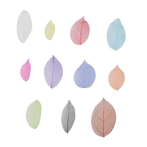 LIFKOME 200 Unidades arte de esqueleto de folha artesanato decorativo DIY decoração plantas artifici