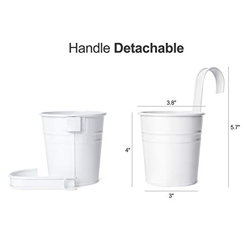 Dahey 10 Pcs Hanging Flower Pots Metal Iron Bucket Planter For Railing Fence Balcony Garden Home Decoration Flower Holders With Detachable Hooks, White, 4 Inches #TOP5