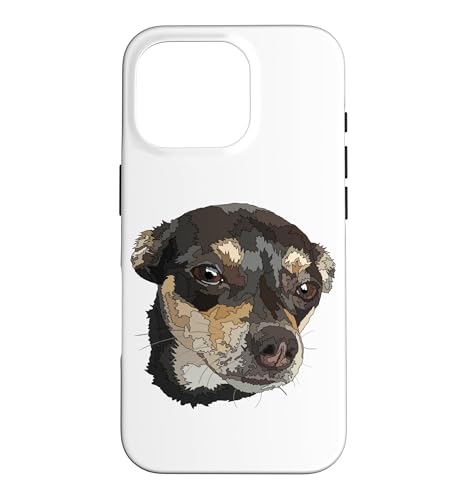 ���Ɖ����F�̃`�������`���̗��l �X�}�z�P�[�X iPhone 16 Pro �p