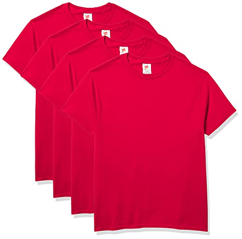 Image of Hanes Men's Ecosmart T-Shirt (Pack of 4)