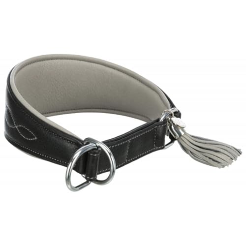 TRIXIE Active Komfort Windhunde Halsband Größe XS: Halsumfang 21-26 cm/40 mm in schwarz - extra breites Hundehalsband für sehr kleine Hunde, schützt den Kehlbereich, unterfüttert, 18960