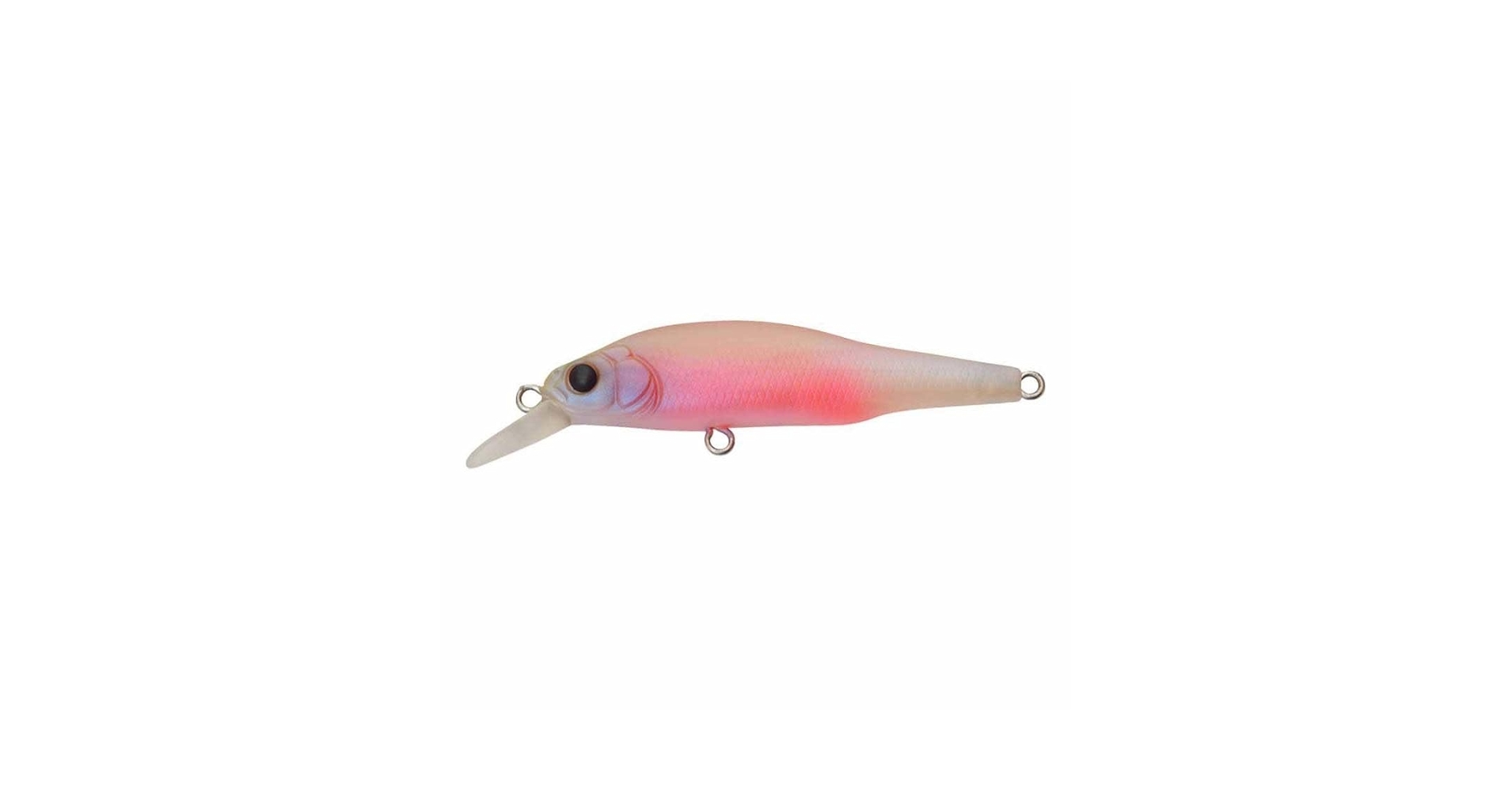 Megabass ルアーセット 5点BABY KINGYO 11月上旬発送】【オンライン限定】KARASHI ベビーキンギョ バス