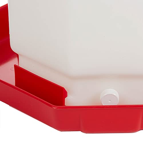 Little Giant Ppf7 7 Gallon Capacity Hanging Automatic Poultry Waterer Dispenser For Chickens And Game Birds, Red #TOP3