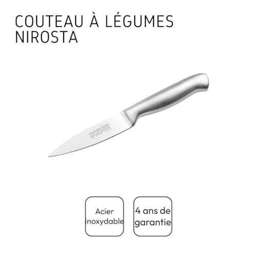 Foto von Nirosta Gemüsemesser – Premium Edelstahl, Ideal zum Schneiden und Schälen von Gemüse und Obst, Fugenlose Verarbeitung, 4 Jahre Garantie, Designed in Germany