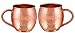 Pure Copper Plain Mate drinkware water dispenser Storage Water Tank, Pot ayurveda health healing Water Tank with Tap and set of 2 Copper hammered mug 1Glass, water container tank with 5 Ltr Capacity