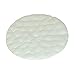 ProTeam 101220 High Filtration Discs for Dome Filter (2 Pack)