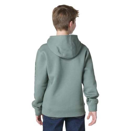 Image of Carhartt Boys Long Sleeve Hooded Sweatshirt