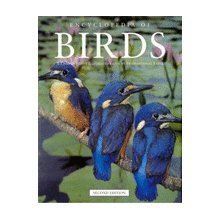 Encyclopedia Of Birds: A Comprehensive Illustrated Guide By International Exper