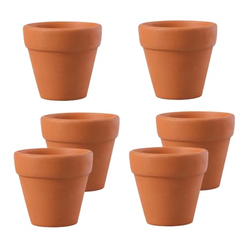 Abaodam 6 Piezas Mini Maceta De Cerámica Mini Ollas Pequeñas Macetas Plantador De Cactus Macetas Mini Suculentas Árbol De Bonsai Macetas De Barro Macetas De Terracota Minimacetas Arcilla