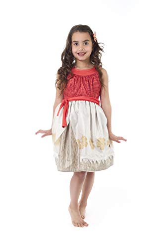 Little Adventures Island Princess With Hair Clip Dress Up Costume Size Small Age 1-3 - Machine Washable Child Pretend Play And Party Dress With No Glitter #TOP6