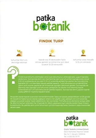 Patika Botanik 500 Adet Fındık Turp Tohumu - Görsel 7