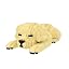 Golden Retriever 2