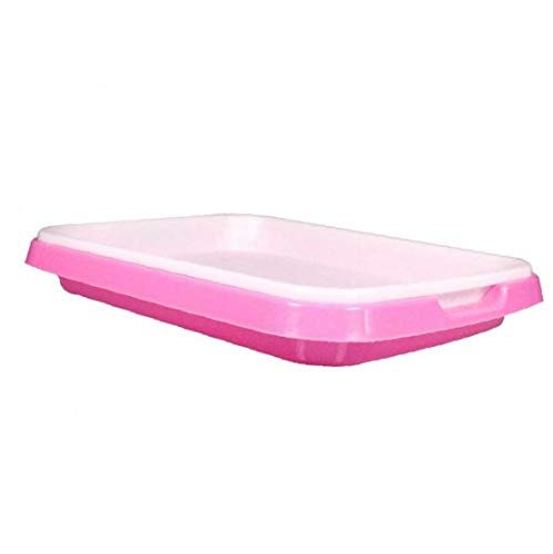 Lankater Germination Grass Soilless Home Drain Plate Non Toxic Grow Garden Planting Double Layer Hydroponics Basket Nursery Tray Wheat(Random Color)