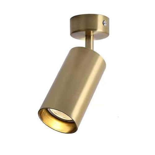 ELEVATOY Gold Flush Mount Ceiling Spotlight Fixture, Single Brass Kitchen Track Lighting LED Spotlight Modern Simple Bedroom Mall Kitchen Light