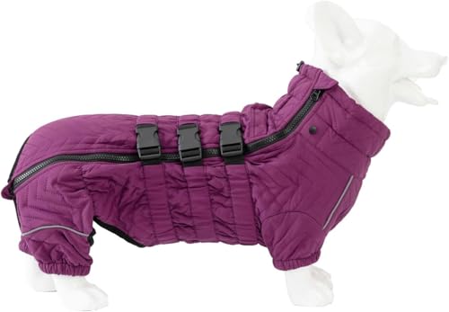 pXm[WPbg _bNXtg h gpR[g rt ˌxXg Wbp[t ߉\ȉOph ~H R[M[ (݂ꂢ,M)