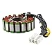 Motorcycle Generator Stator Coil Compatible With Automotive Motorcycle Parts CBR600 CBR600F4i 2001 2002 2003 2004 2005 2006 For Part Number 31120-MBW-J21