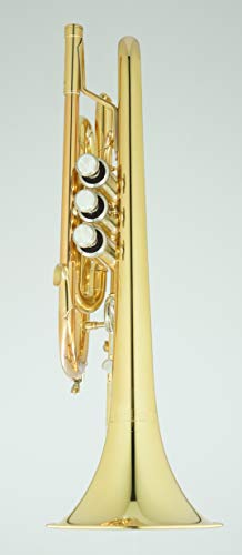 CarolBrass Bb Cornet CCR-105, Beginner Long Bell Cornet, American Styled Bell, Amazon Exclusive - Thumbnail 4