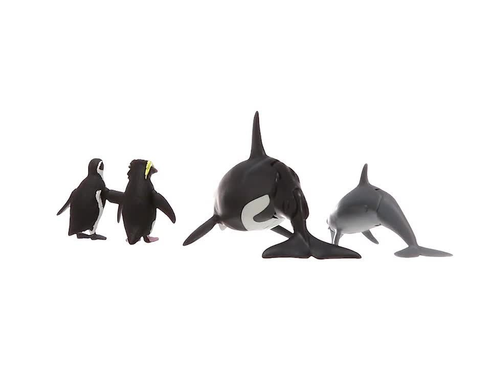Amazon.co.jp: アニア AG-03 あつまれ! 水族館の人気者 セット