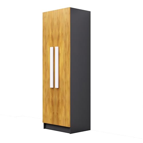 Image of Bniture Wooden Almirah for Clothes, Door for Bedroom, 2 Door Wardrobe with 4 Shelves Huge Storage Space (46D x 60W x 182H CM) | 3 Year Warranty (Slate Grey & Giant Wood)