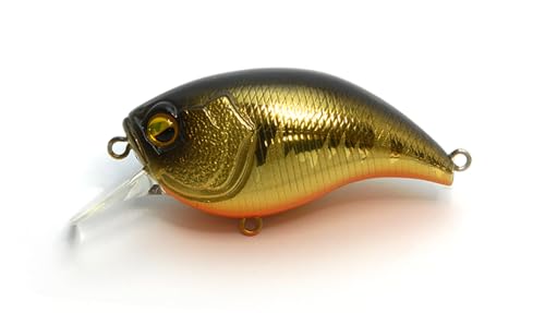 ChWp(Raid Japan) LEVEL CRANK (xNN) 026. ALN (LC026 REAL KINKURO)