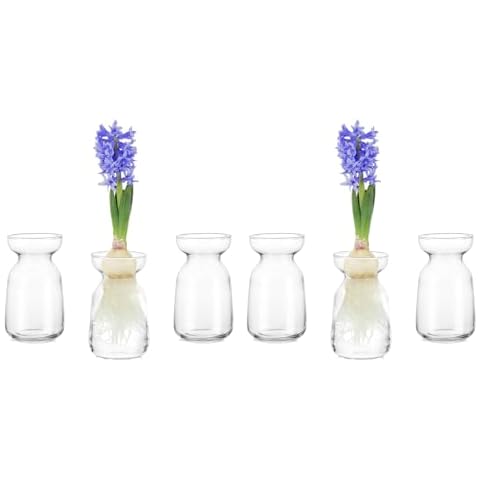 Hewory Clear Glass Hyacinth Vases, 6pcs Cover