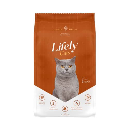 amazon.ae Best Sellers The best items in Dry Cat Food based on Amazon