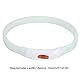 Cikonielf LED Hundehalsband USB Wiederaufladbares Leuchthalsband Einstellbares Sicherheits Halsband für Katzen und Kleine Hunde (Weiß)