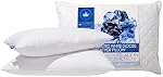 Canadian Down & Feather Co. - 2 Pack Soutien de l'entreprise oie blanche blanchie Feather Taille du Roi Oreiller - 255 TC Coque 100% Coton - Remplis au Canada