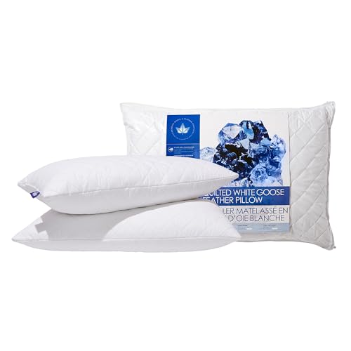 Canadian Down and Feather Company white goose feather pillow 2-pack — showing the 255 thread count cotton shell