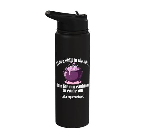 I Felt A Chill In the Air Time For My Cauldron To Come Out Stainless Steel Insulated Water Bottle