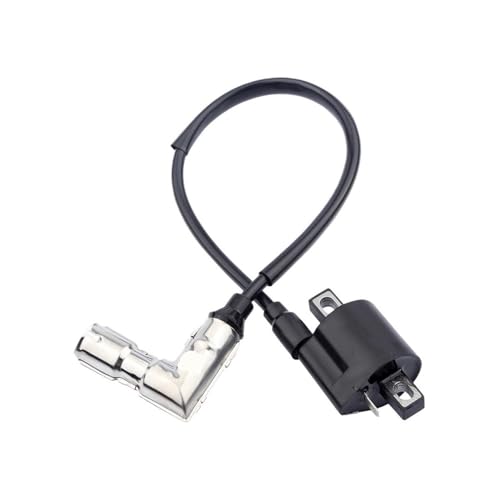 Bobina de encendido ATV compatible con repuestos de quad 200cc y 250cc 2