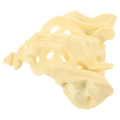 Sacrum anatomique en PVC blanc lavable pour réviser les examens d'infirmier