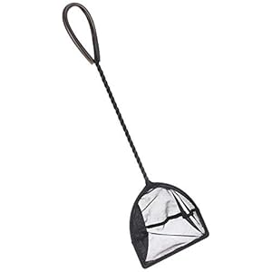 ジェックス GEX メダカ元気 やさしいネット やわらか黒色メッシュ 柄を曲げて使用可能 メダカ飼育用 水槽・..." 