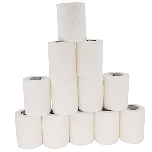 FOCO Adley Rutschman (Baltimore Orioles) Banner Series MLB Bobblehead