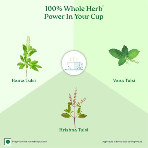 A TATA Product - Organic India Tulsi Green Tea Classic Loose Leaves - 100g, Stress Relieving, Uplifts Mood, Rich in Antioxidants, Blend of Rama, Krishna & Vana Tulsi, Certified Organic