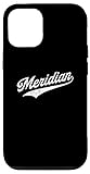 iPhone 14 Pro Meridian Case