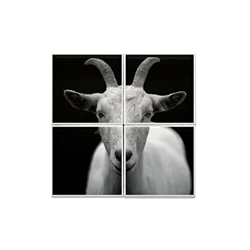Carreaux céramique décoratif bouc blanc chèvre animal nature tableau 40x40