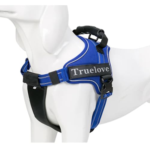 Juvendy K㗝X Truelove pn[lX  p[n[lX ȒP h~ L Royal blue COH꒼