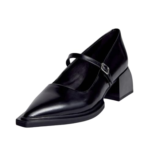 Mary Jane Pumps for Women,Ballet Shoes with Pointed Toe Chunky Heel Buckle Strap Pumps