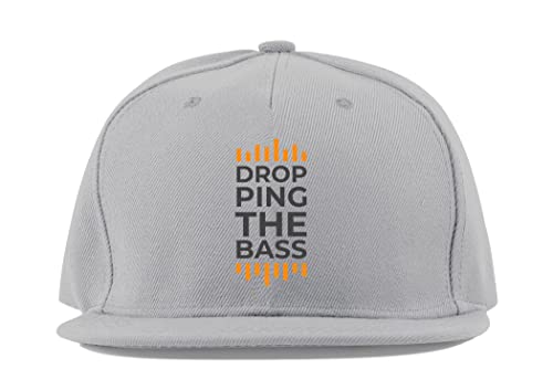 Casquette de baseball visière plate en coton rigide gris Dropping The Bass