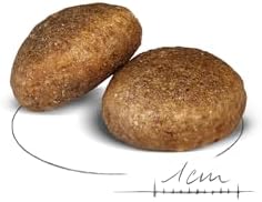 Royal Canin Maxi Adult Köpek Maması, 15 Kg - Görsel 3