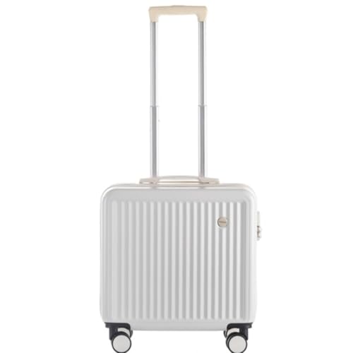 [Fiozwea] sArWlXAoɍœKȁAϏՌƐÉ ^Wbp[tX[cP[X (20,zCg)