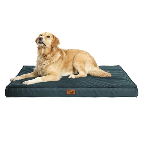 Outdoor Bed for Dogs The 15 best products compared Wild Explained
