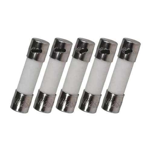 Fusible en céramique protection 10A 250V pour appareils de maison