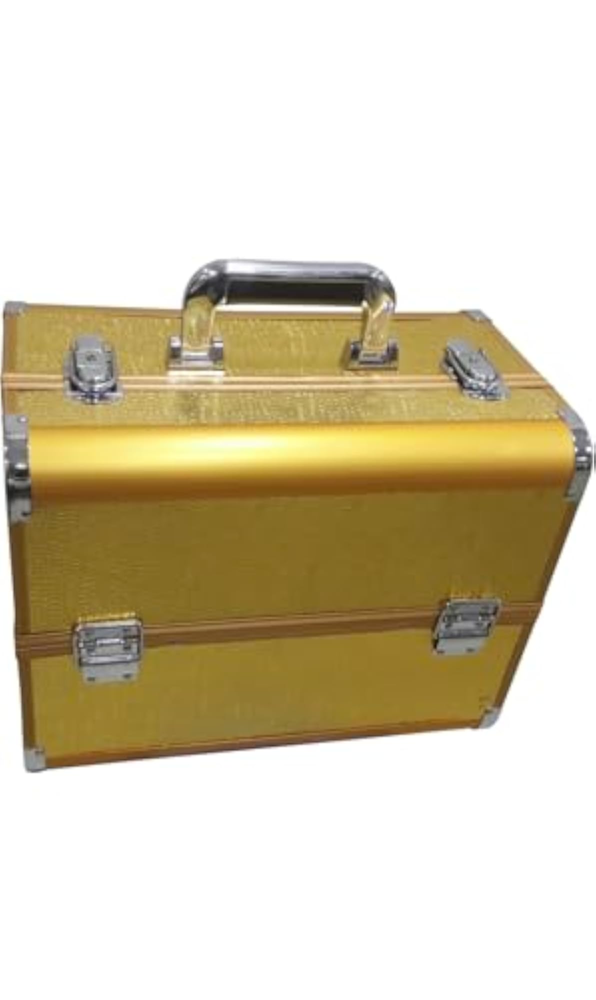 Professional Makeup Train Case, Gold Textured Storage