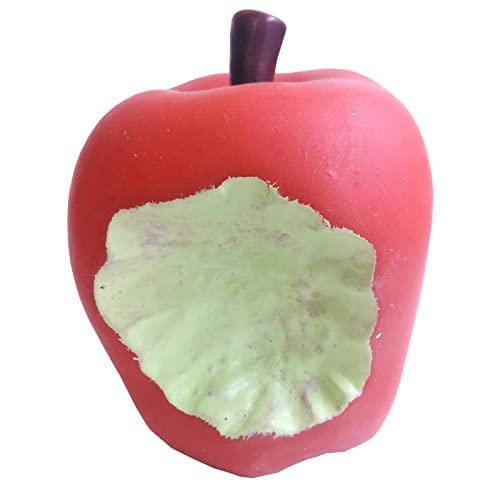 PSK PET MART Apple Shape Dog Chew Rubber Toy with Squeaky Sound for Playing and Exercise Puppies and Dogs (B0BKT4KNKQ) Amazon Price History, Amazon Price Tracker